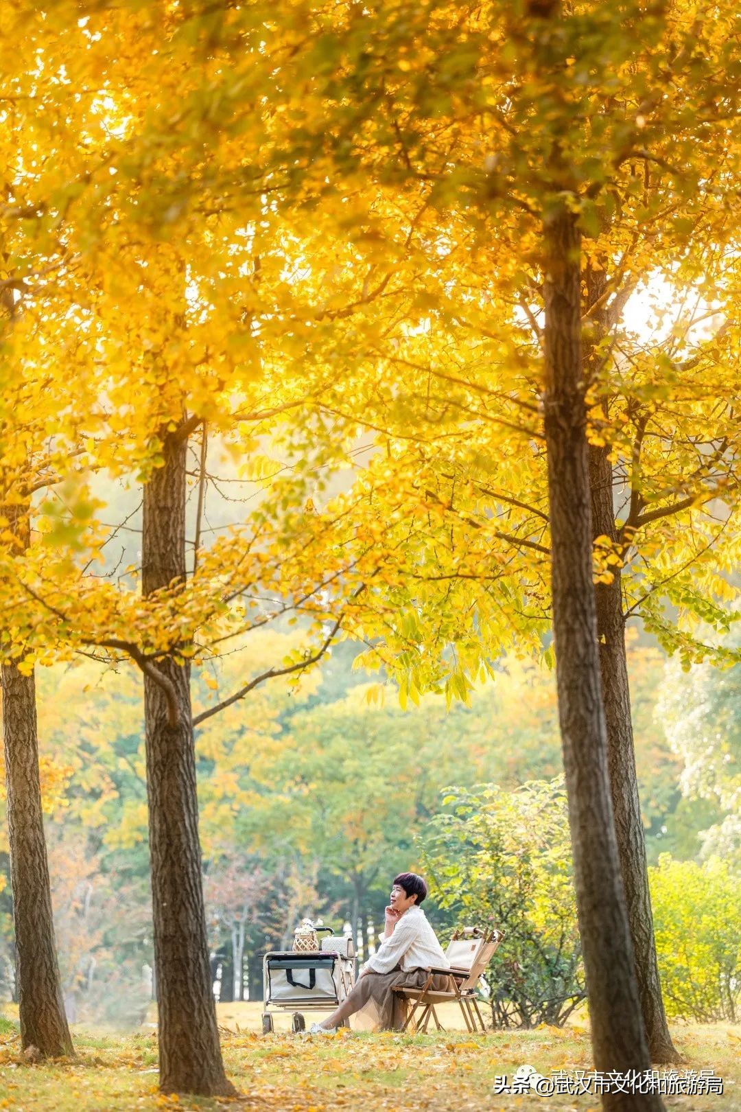 明天出太阳，到东湖捡叶子去！