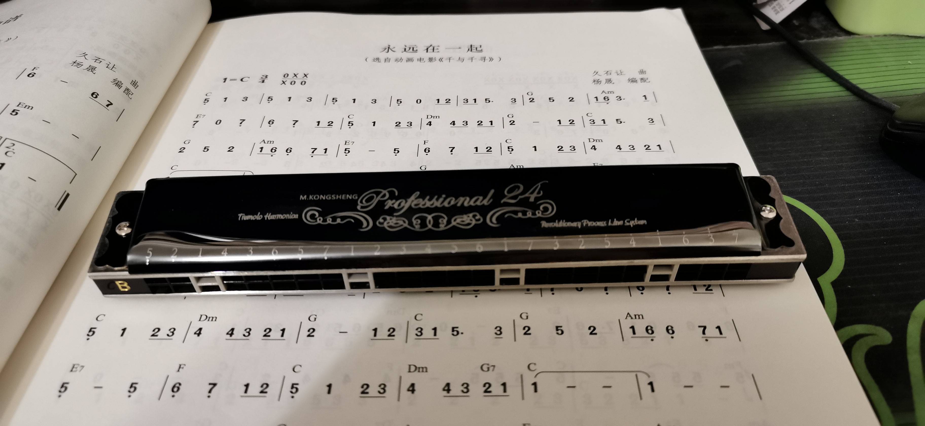 铃木金蝶口琴,铃木口琴