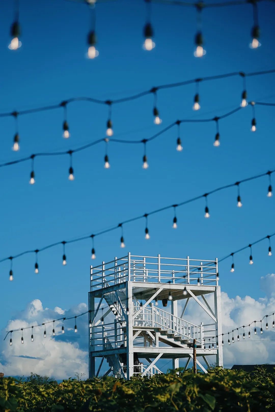 失控玩家2完整版,失控玩家游戏攻略