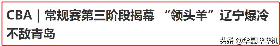 杨鸣什么失误被罚下场,杨鸣为什么不打球了