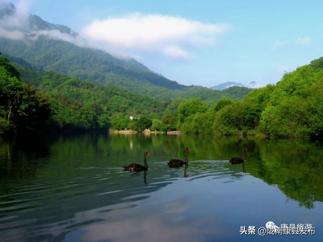 五一康养之旅,康养景区五一