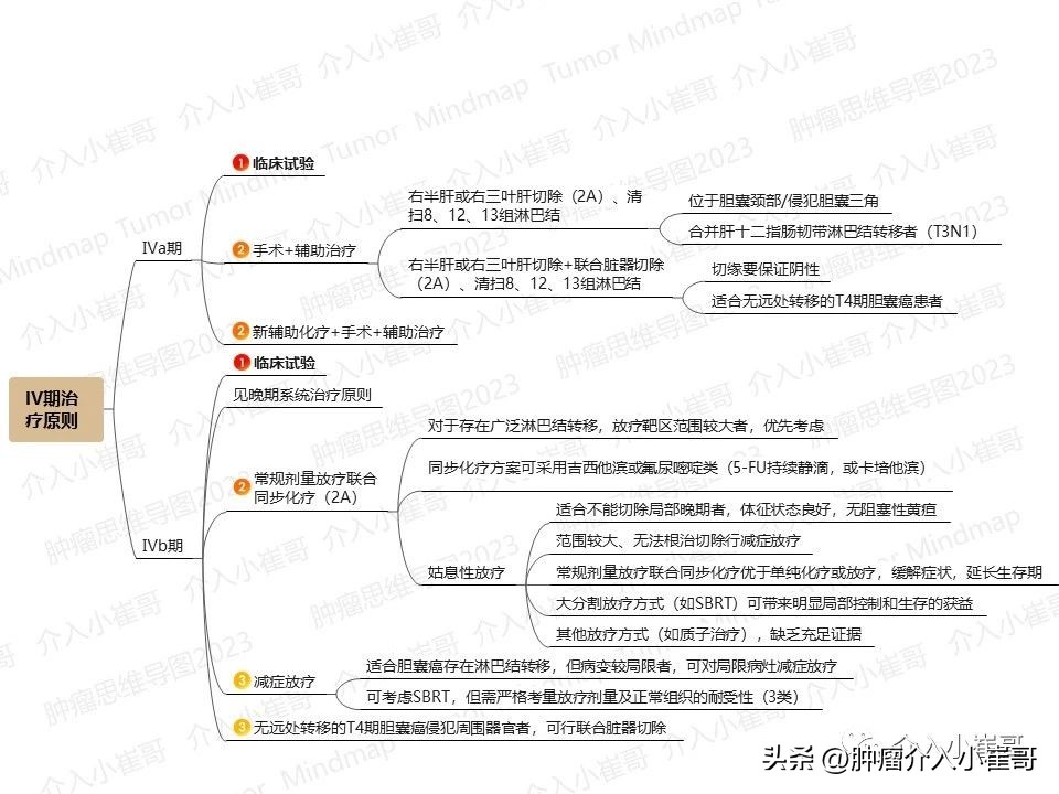 CSCO2023肿瘤思维导图胆囊癌诊疗指南