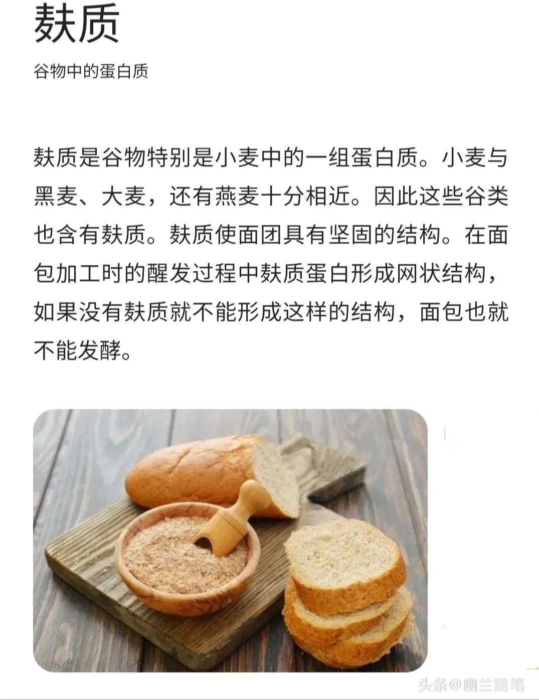 阅读留痕1——《谷物大脑》