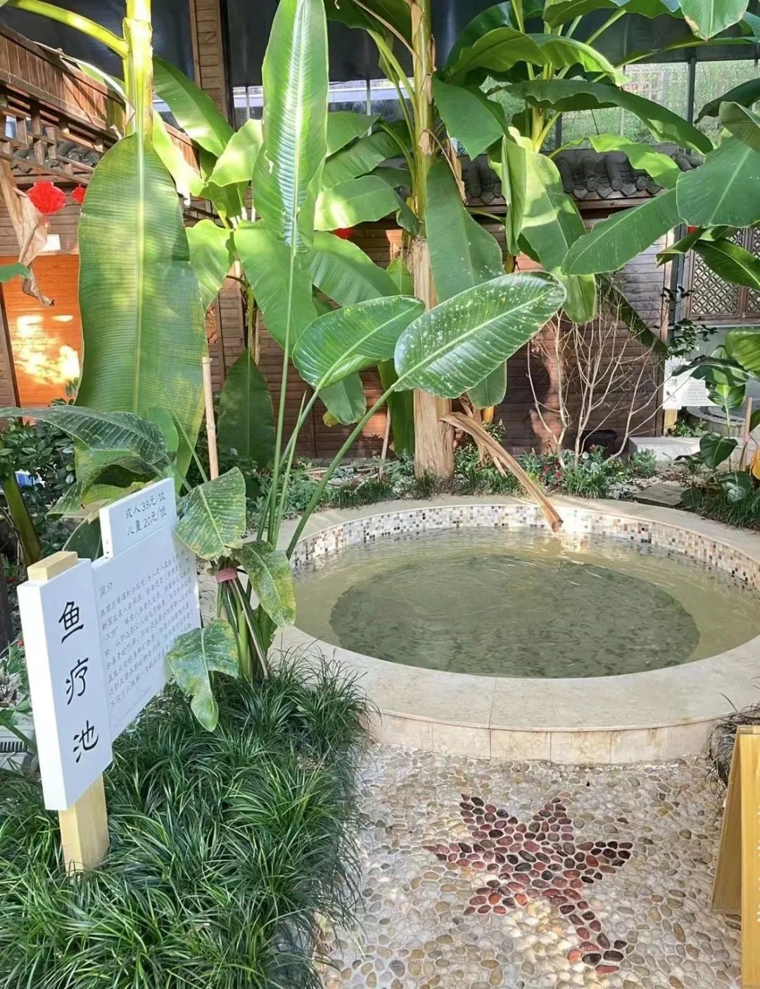 滑雪潜水cp,滑雪神仙cp