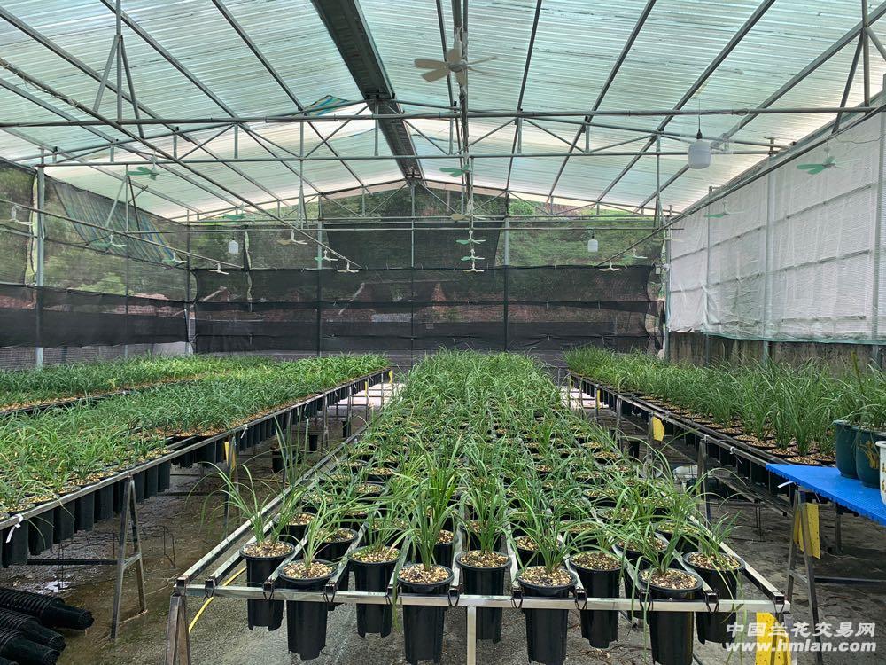 80鍚庡皬浼欏吇鍏扮殑骞冲焊鐢熸椿,90鍚庡吇鍏颁汉鎴愬姛妗堜緥