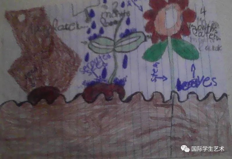 1月24日截止丨EarthX-美国2023年国际生态艺术大赛