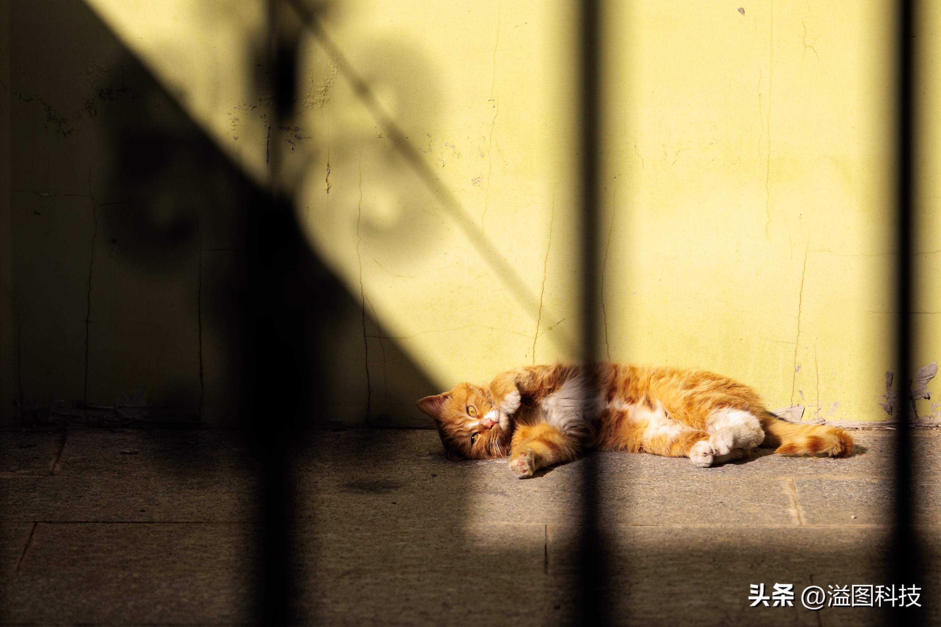 佳能eosr50详细介绍,沉浸式体验佳能r6二代