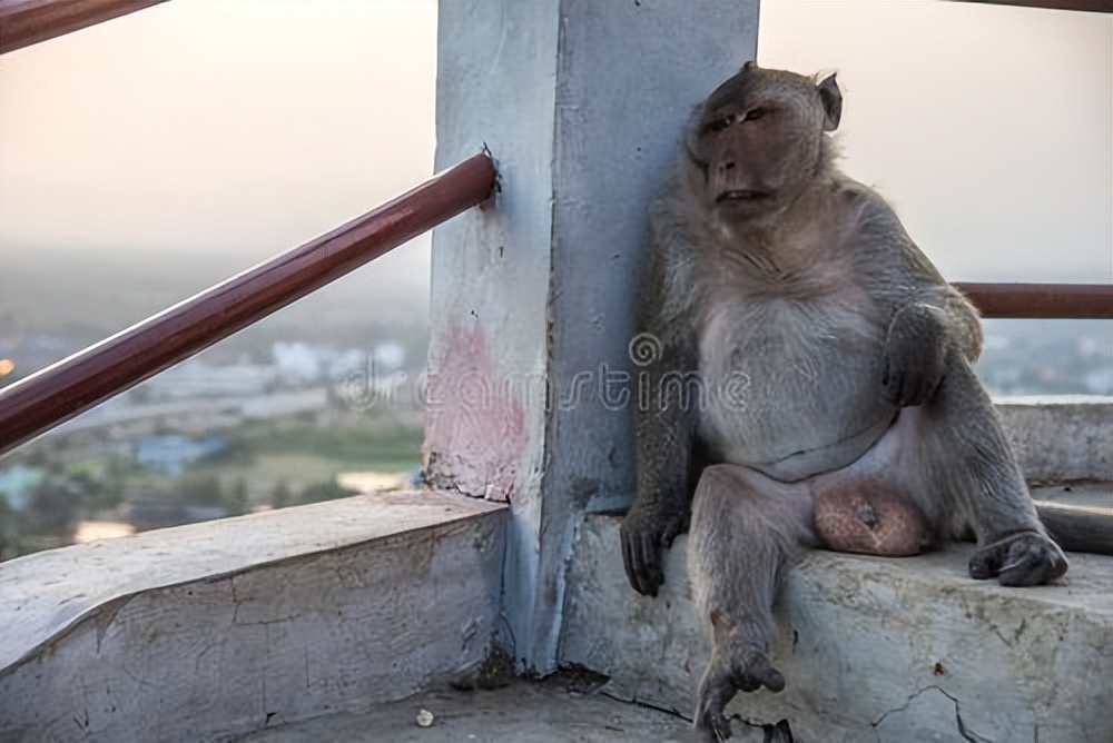 古人的跪坐的好处,古人跪坐不难受吗
