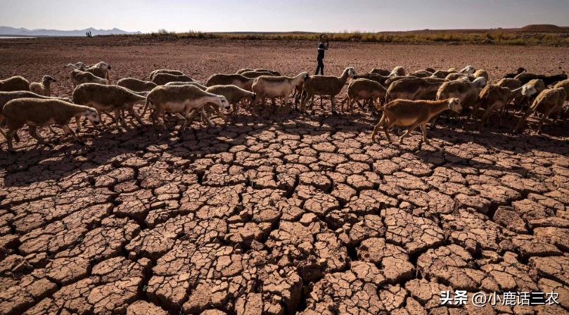 五月十七是不是好日子,五月十七是好日子吗