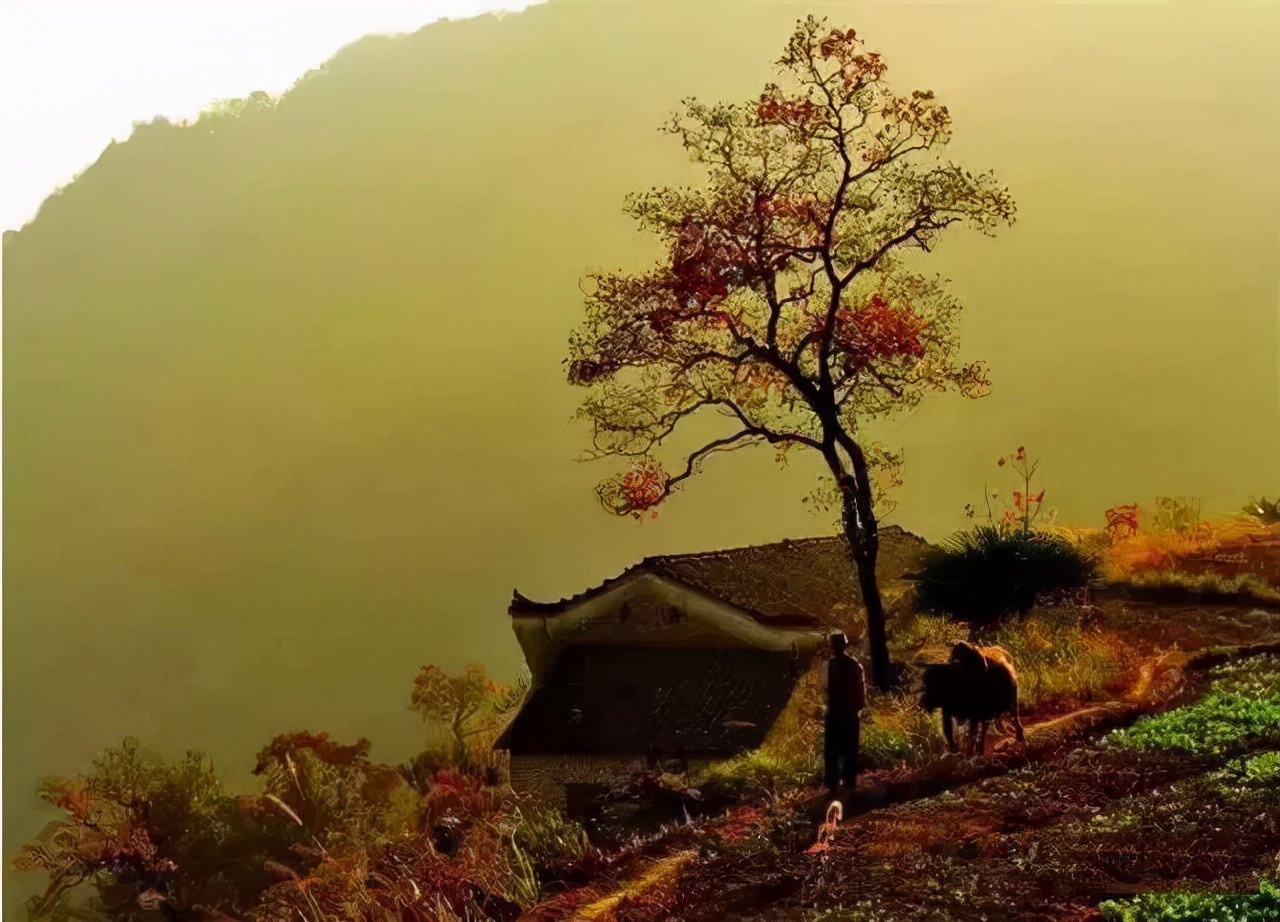 国内十大免费旅行圣地 (10个国内性价比最高的小众旅行地)