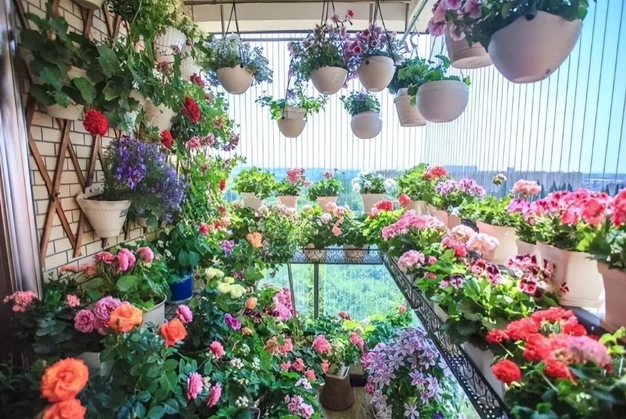 养花浇水你必须知道的浇水技巧,养花只浇水越养越不美