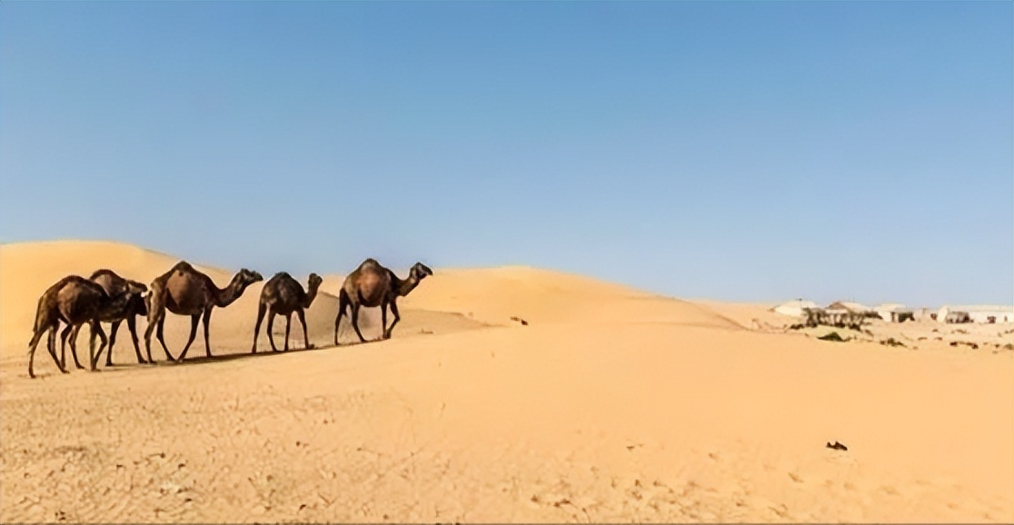 亚洲唯一中立国，水电免费汽油仅一毛，这个国家为何能闷声发大财