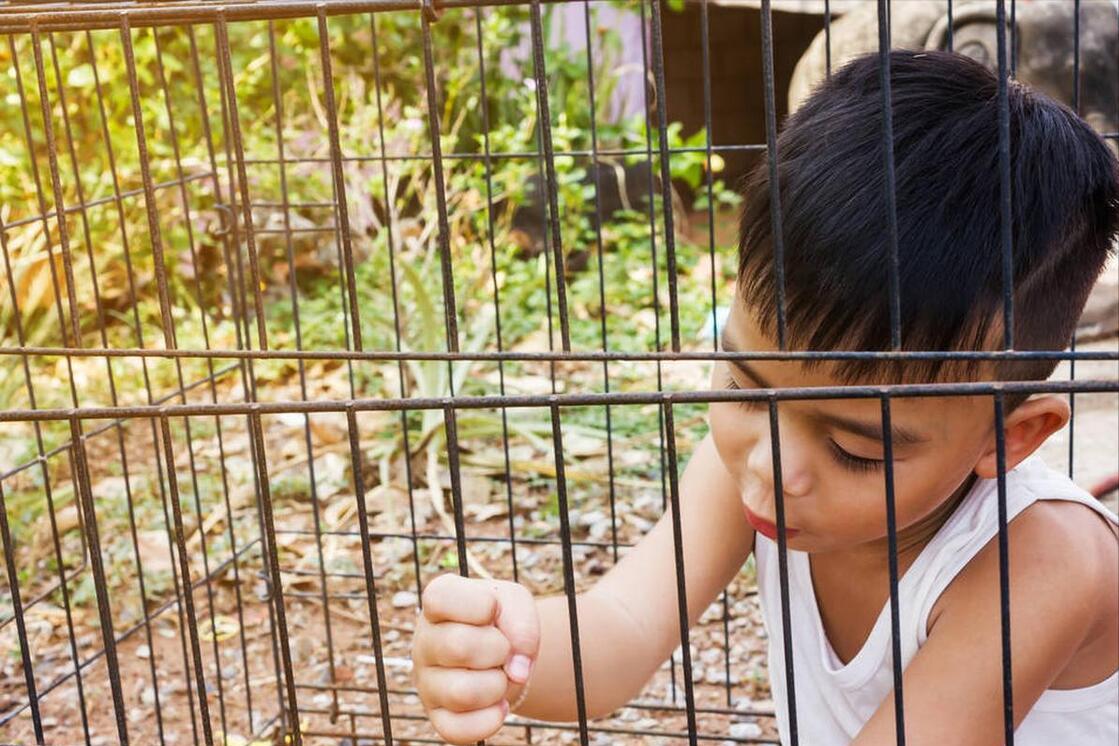 含泪看完被拐孩子去向后，我告诉自己：再难也要背下这6个找回法