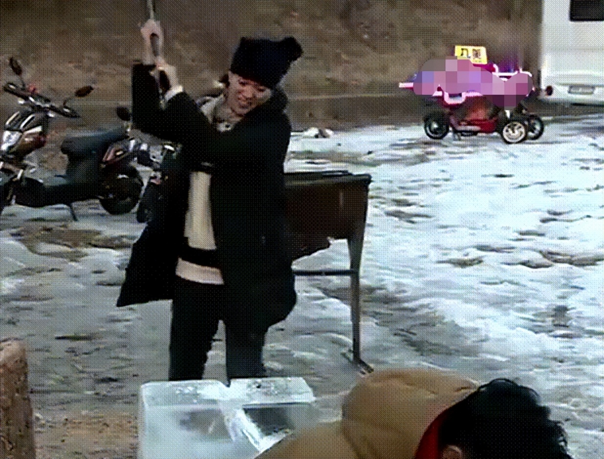 港姐袁咏仪包包,袁咏仪最贵的爱马仕包