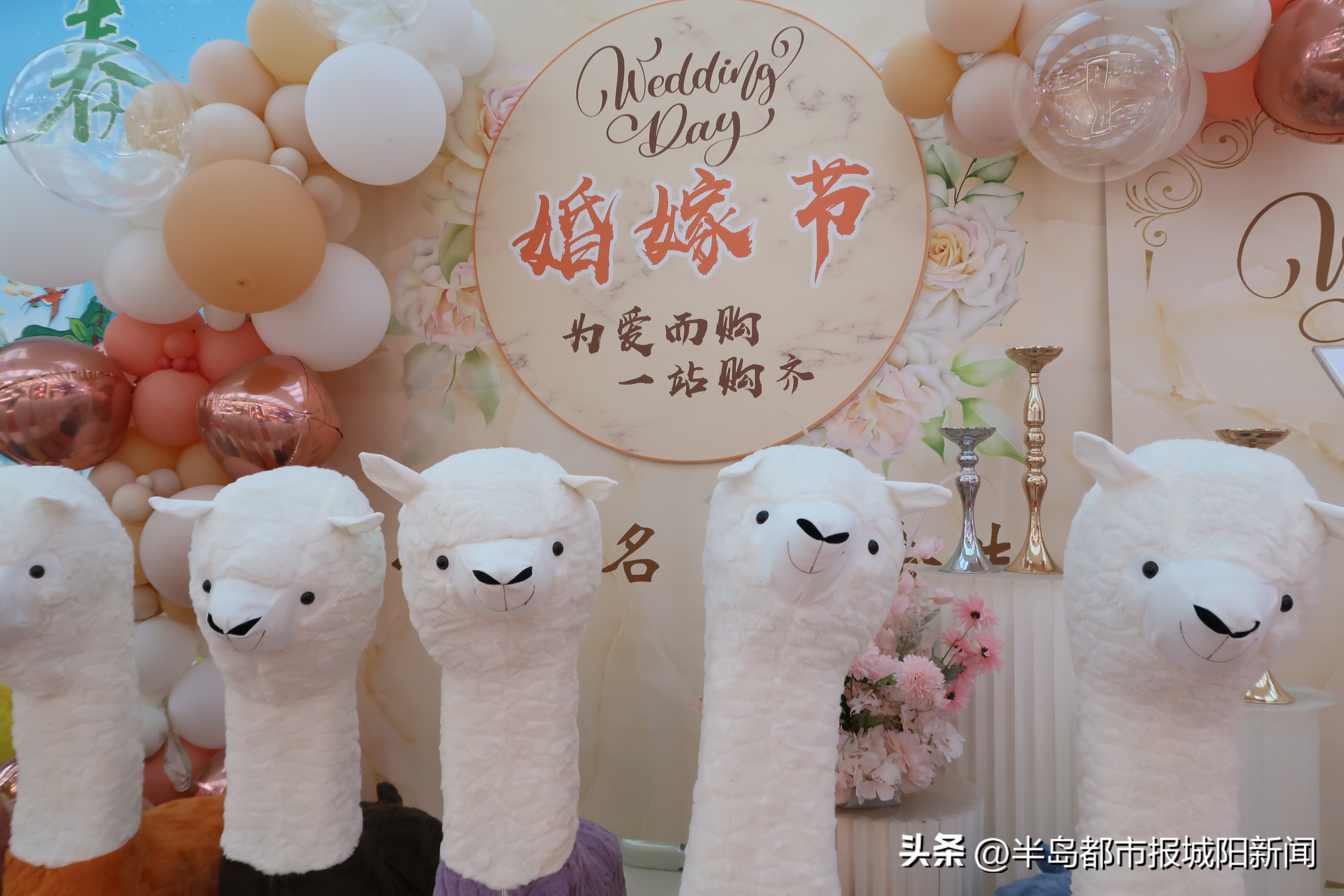 最美劳动人2019,最美劳动者半价优惠活动