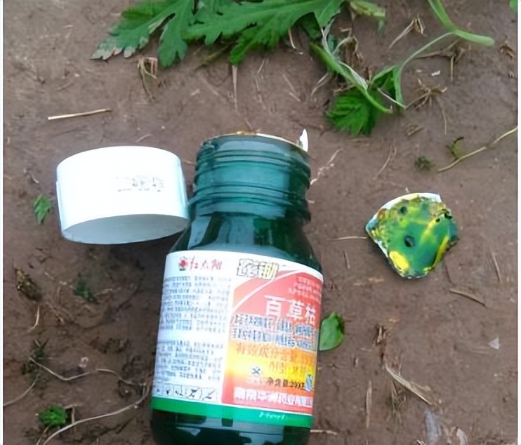 比百草枯还要毒的是什么,比百草枯还毒的毒药是什么