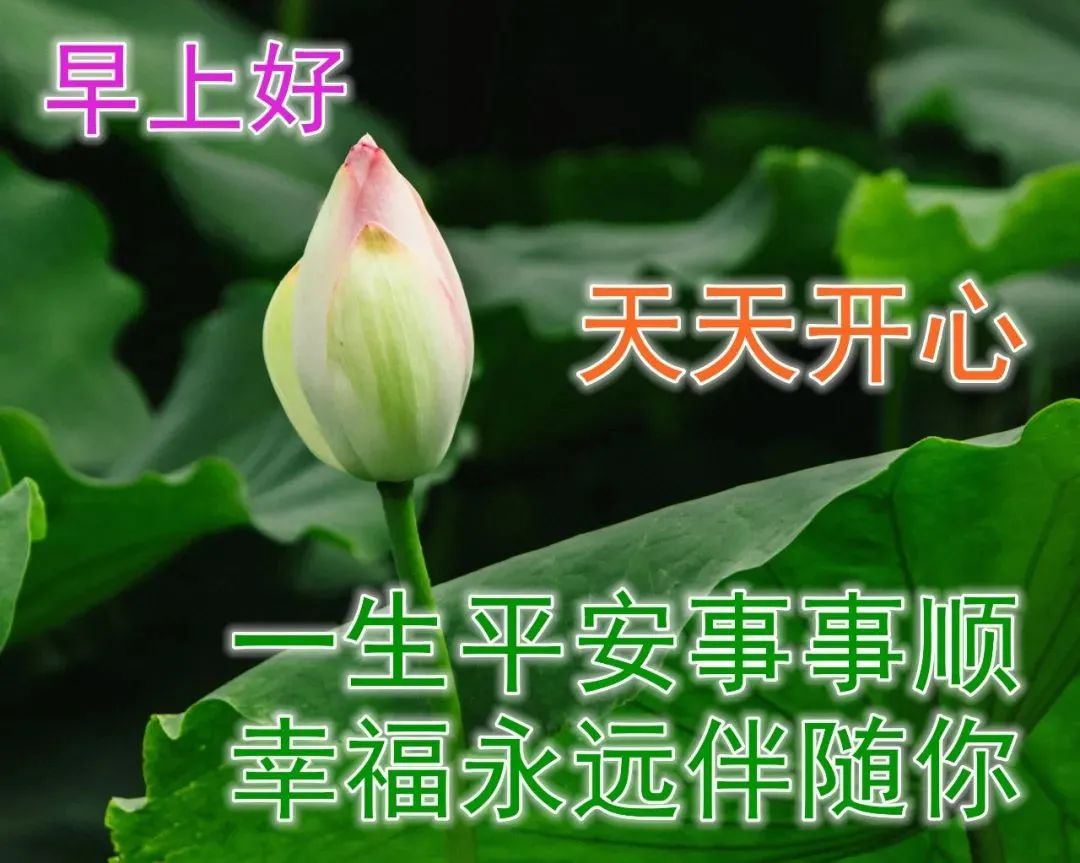 早上好最漂亮问候语动态表情图片,最美早安问候图片带字动态