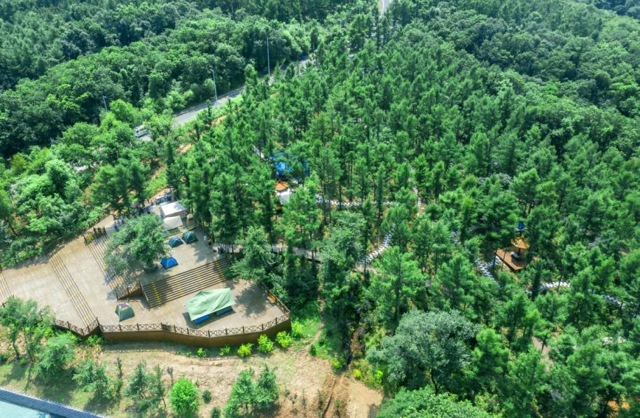 长春的秋天风景,长春周边一日游的绝佳去处秋天