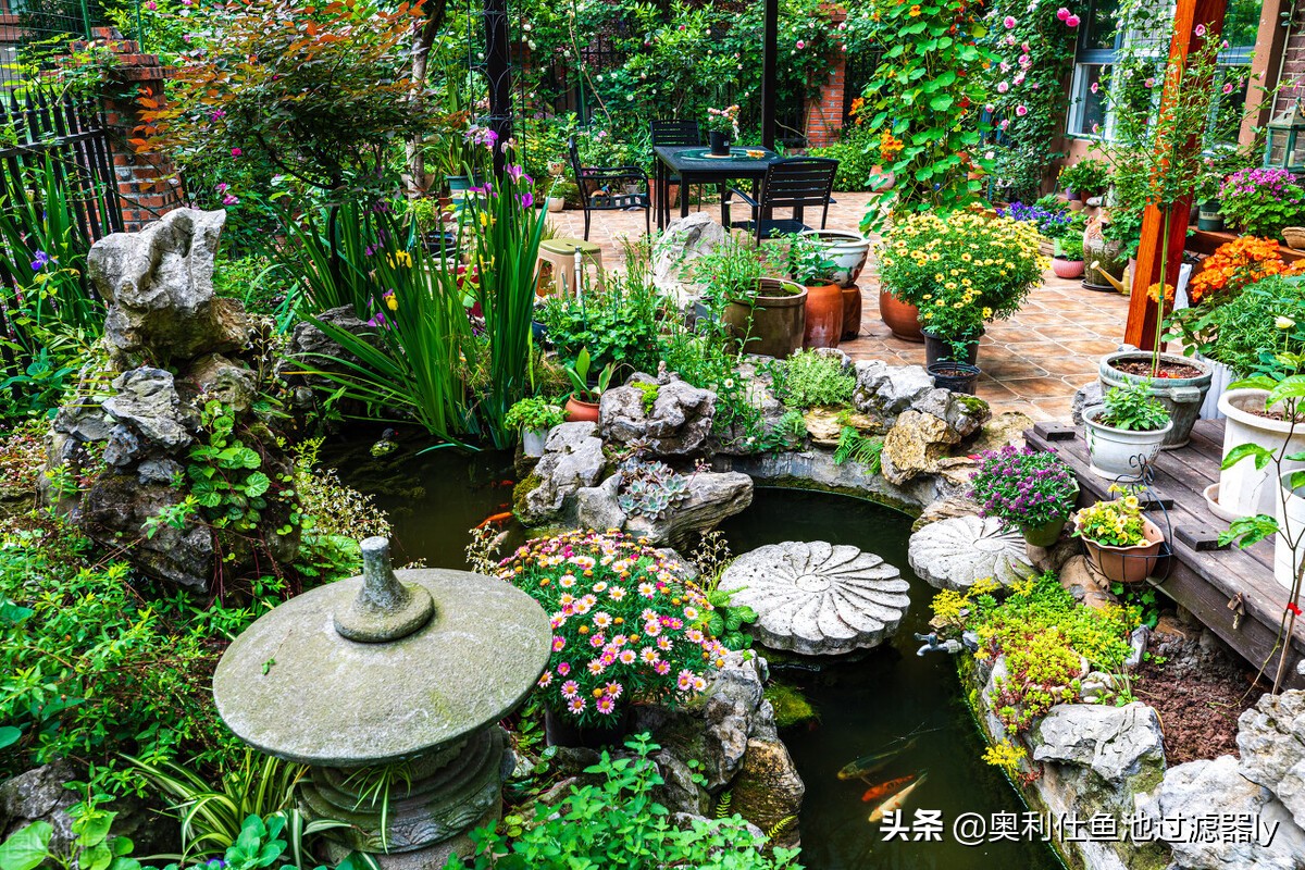 室内锦鲤小鱼池需要杀菌还是换水,锦鲤鱼缸换水后需要用二氧化氯吗