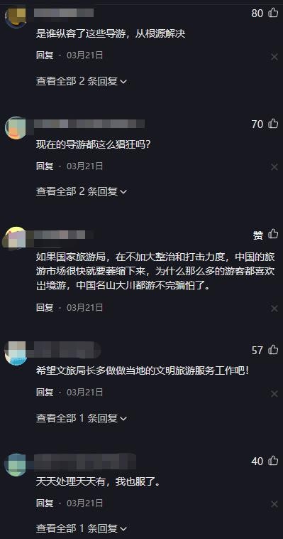 西双版纳导游骂游客,西双版纳导游骂游客后续