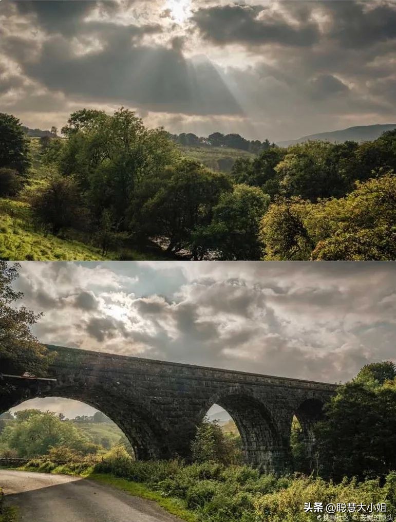 日薪1700元,驱赶海鸥