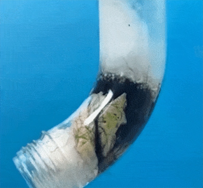 马桶冲力小下不去水妙招,马桶冲力太小怎么修