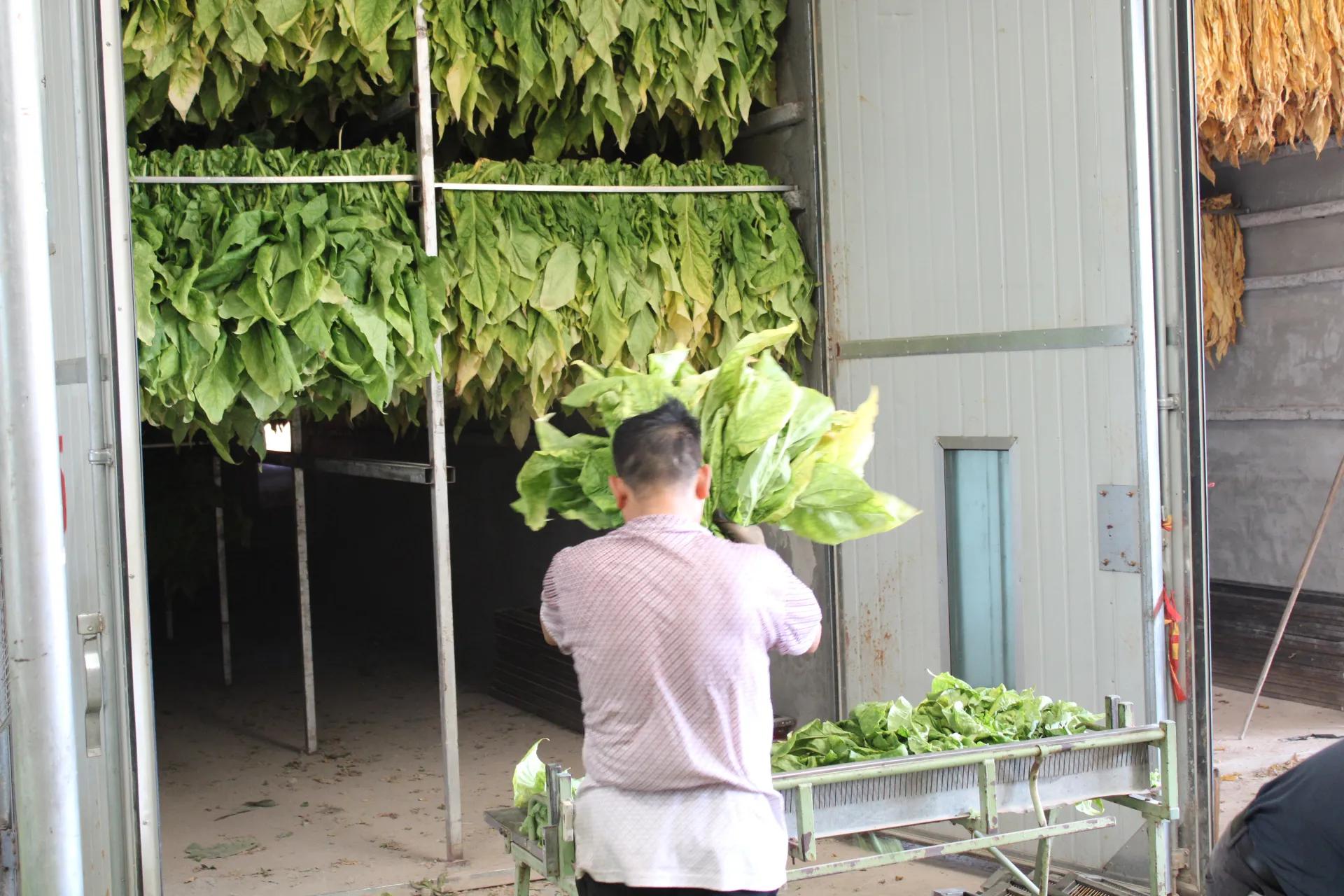 活水注入乡村振兴,乡村振兴的经验分享与最佳实践