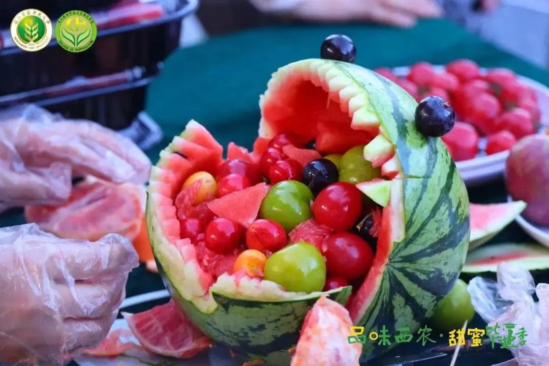 学生给学院送什么毕业礼物好,高校毕业礼物走心又暖心