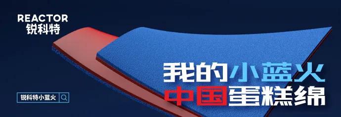 天才少女大器晚成国乒,国乒大器晚成都有谁