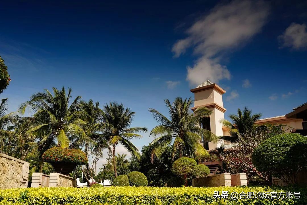 合肥市11月特价机票,特价机票来啦