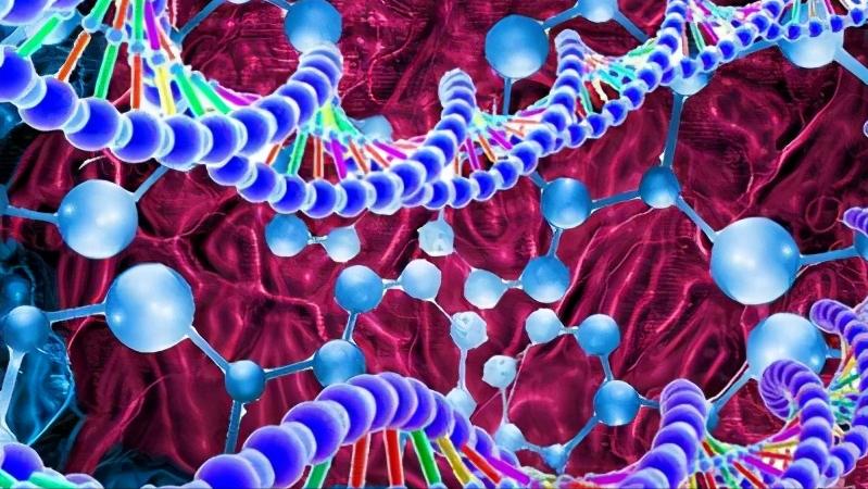 尿蛋白越高治疗好后复发几率越高,肾病尿蛋白高怎么办怎么能降下去