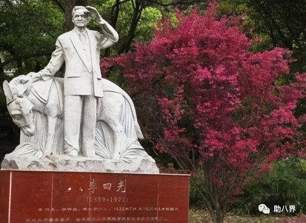 武汉必打卡的十大景点介绍,武汉南湖网红打卡景点