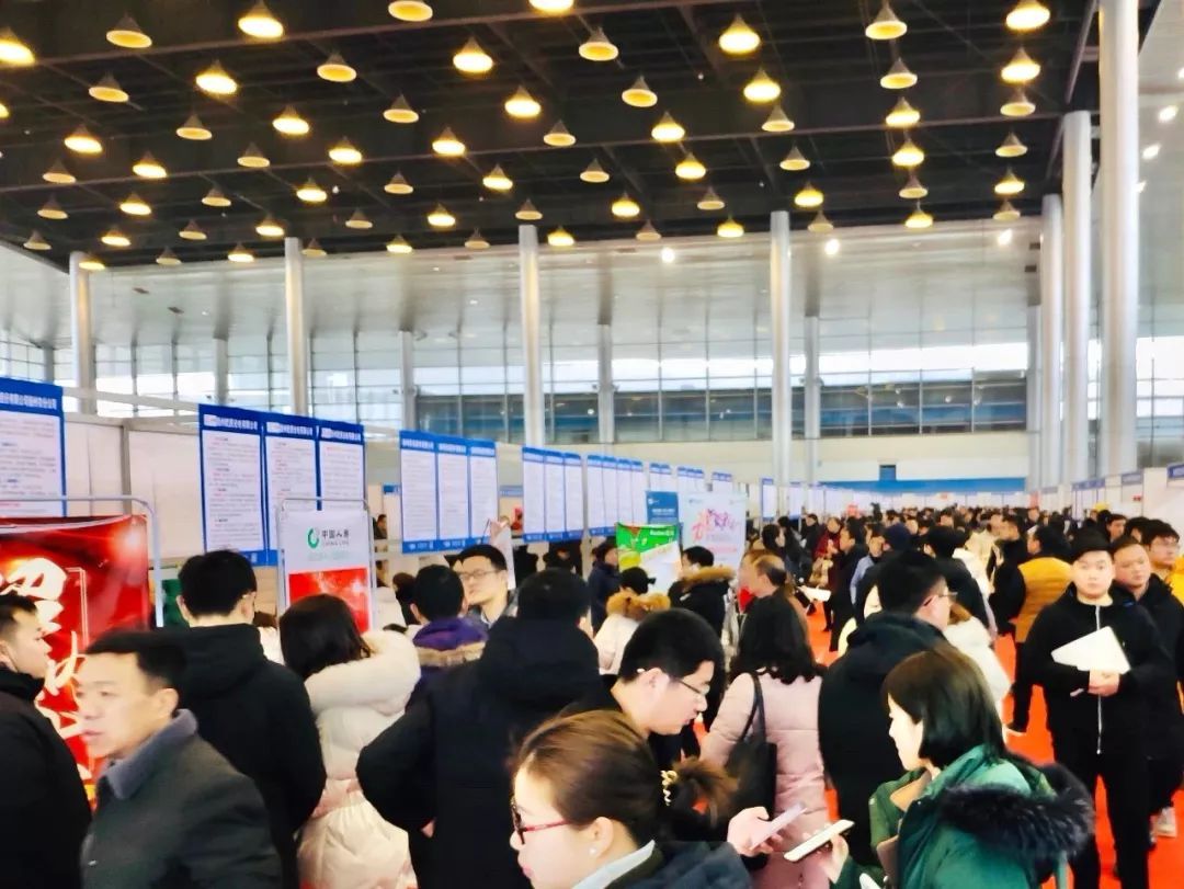 e租宝丁宁年薪百万,e租宝丁宁被捕视频