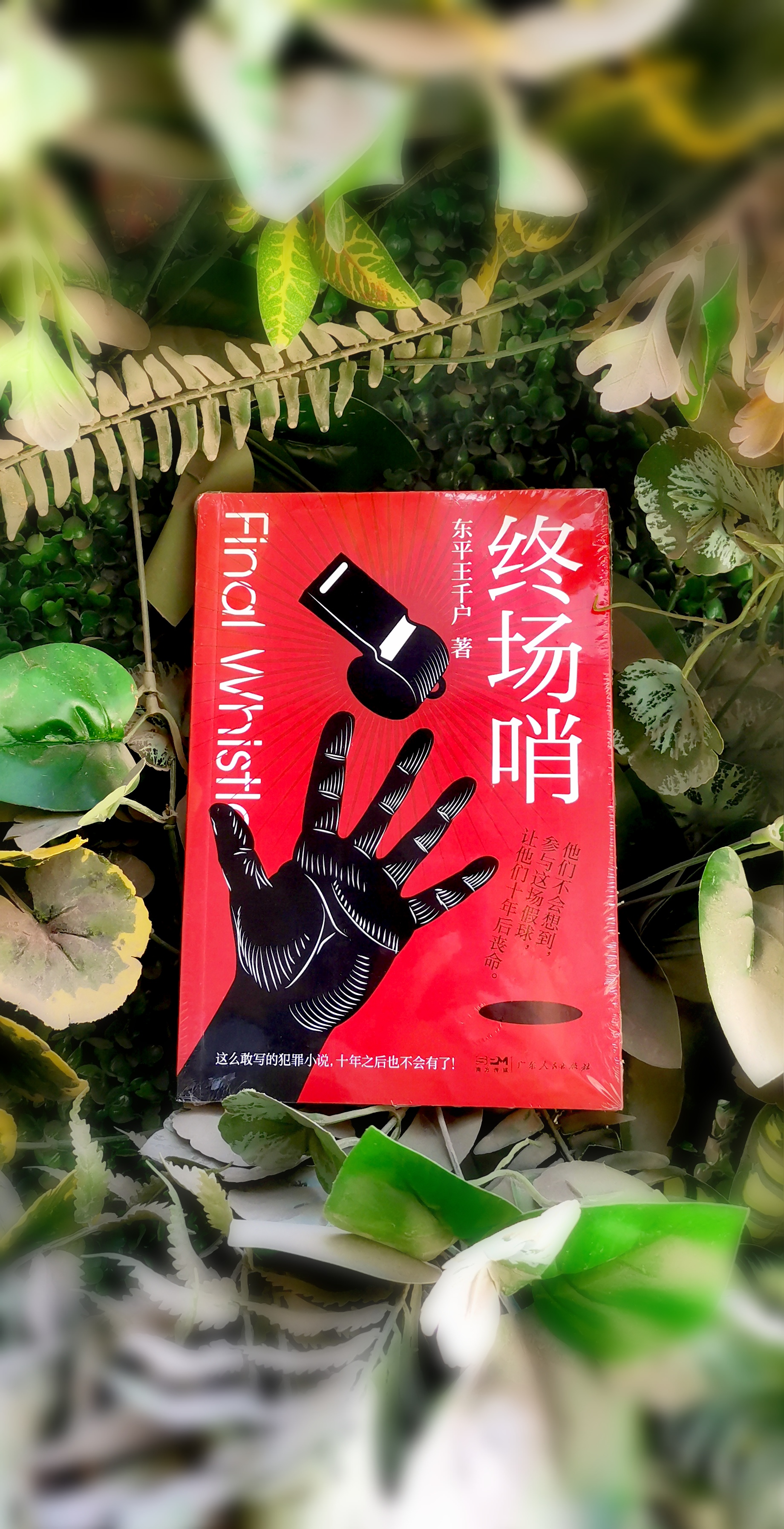 终场哨吹响的那一刻,终场哨吹响的时候一切都成为回忆