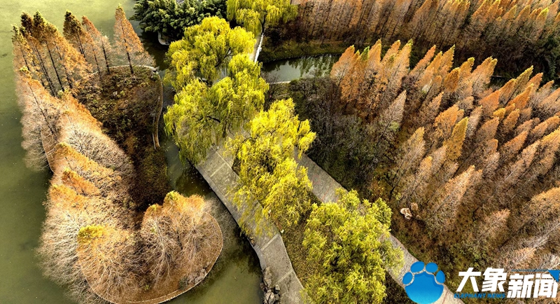 行走河南读懂中国畅游洛阳,行走河南读懂中国洛阳考古