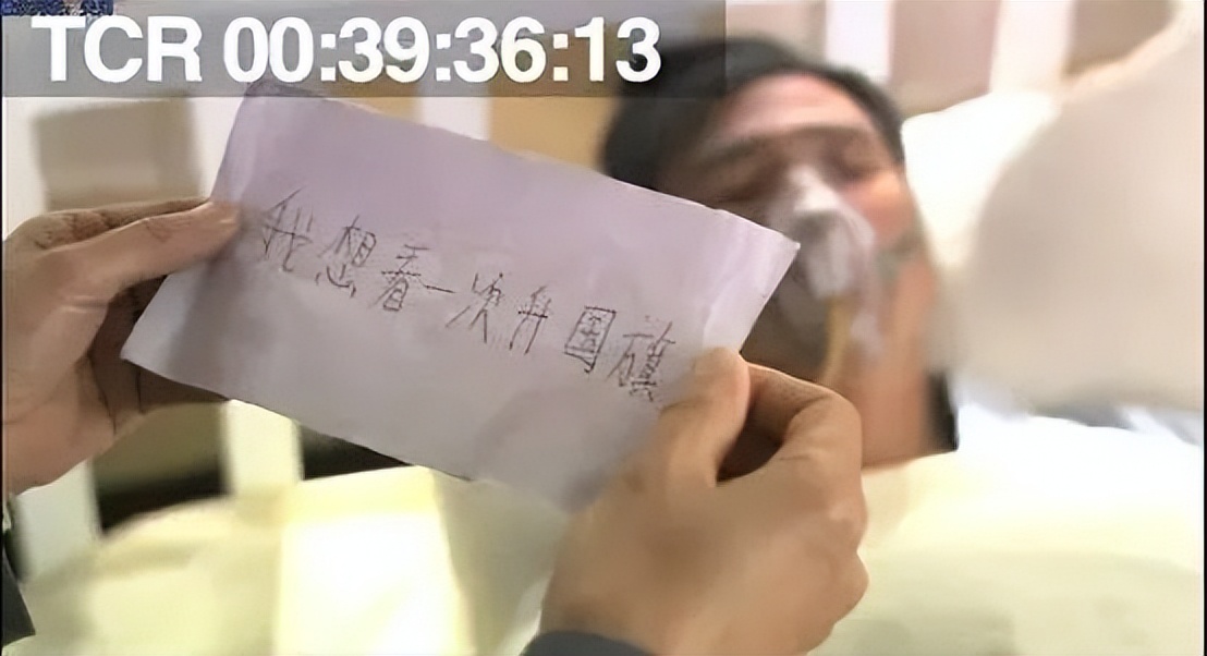 谍战剧排行榜前十名伪装者,伪装者谍战片排第几