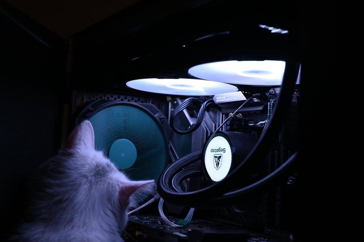 40度高温天注意防暑,40度的高温天气注意防暑