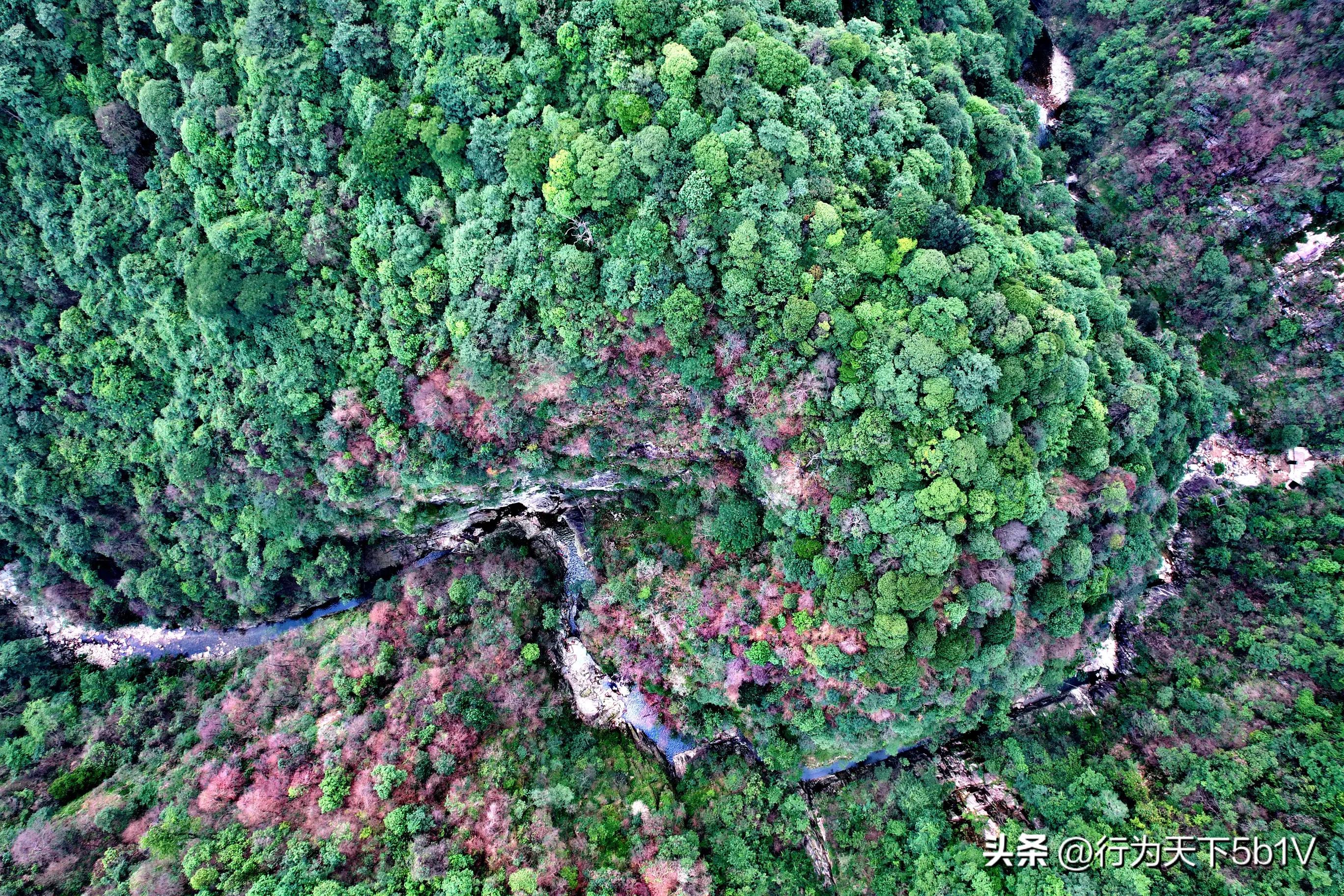 【探秘金紫山下的清凉秘境】行走在资源资江源大峡谷的风景线上