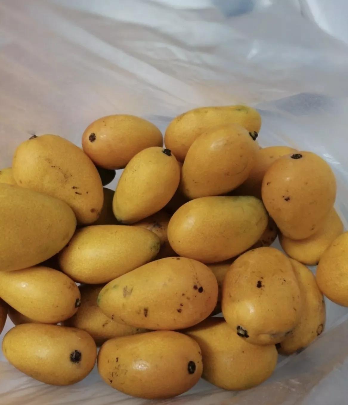 有哪些让你无限次回购的零食,有哪些你会无限回购的面膜