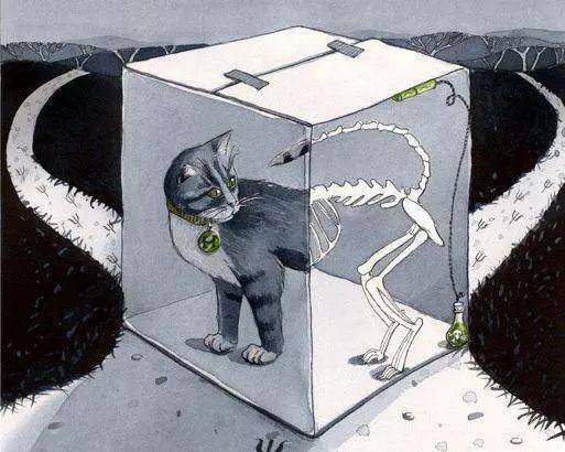 永恒量子世界的顶点，困扰物理学家八十多年的难题