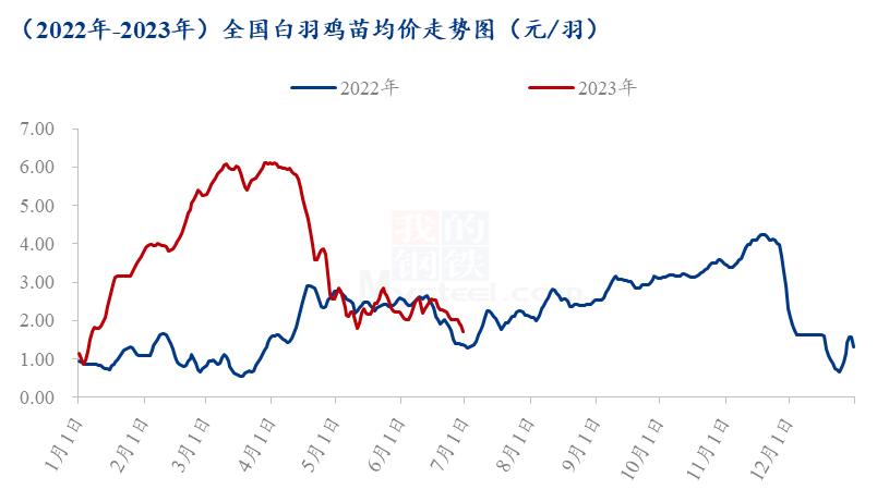 2023白羽肉鸡今后行情分析,白羽肉鸡市场分析
