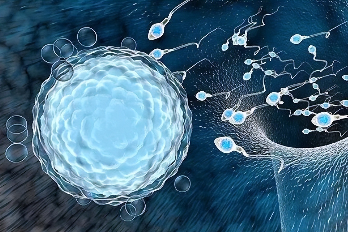 备孕期经常倒立可以吗,备孕倒立还是平躺容易受孕