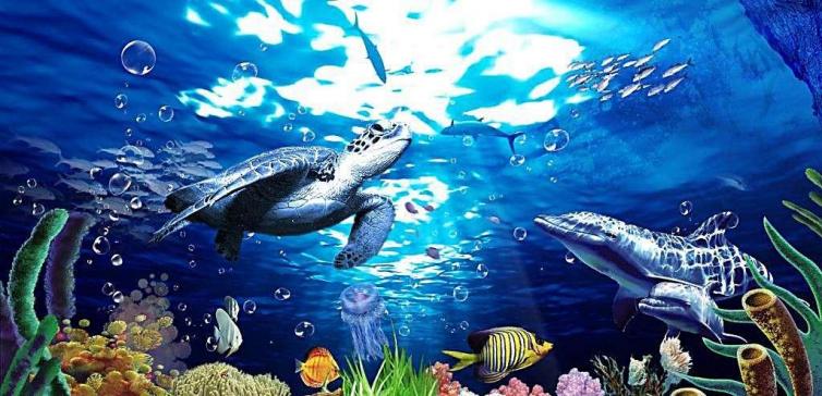 宁波江北区周边自驾游,宁波周边农村自驾游