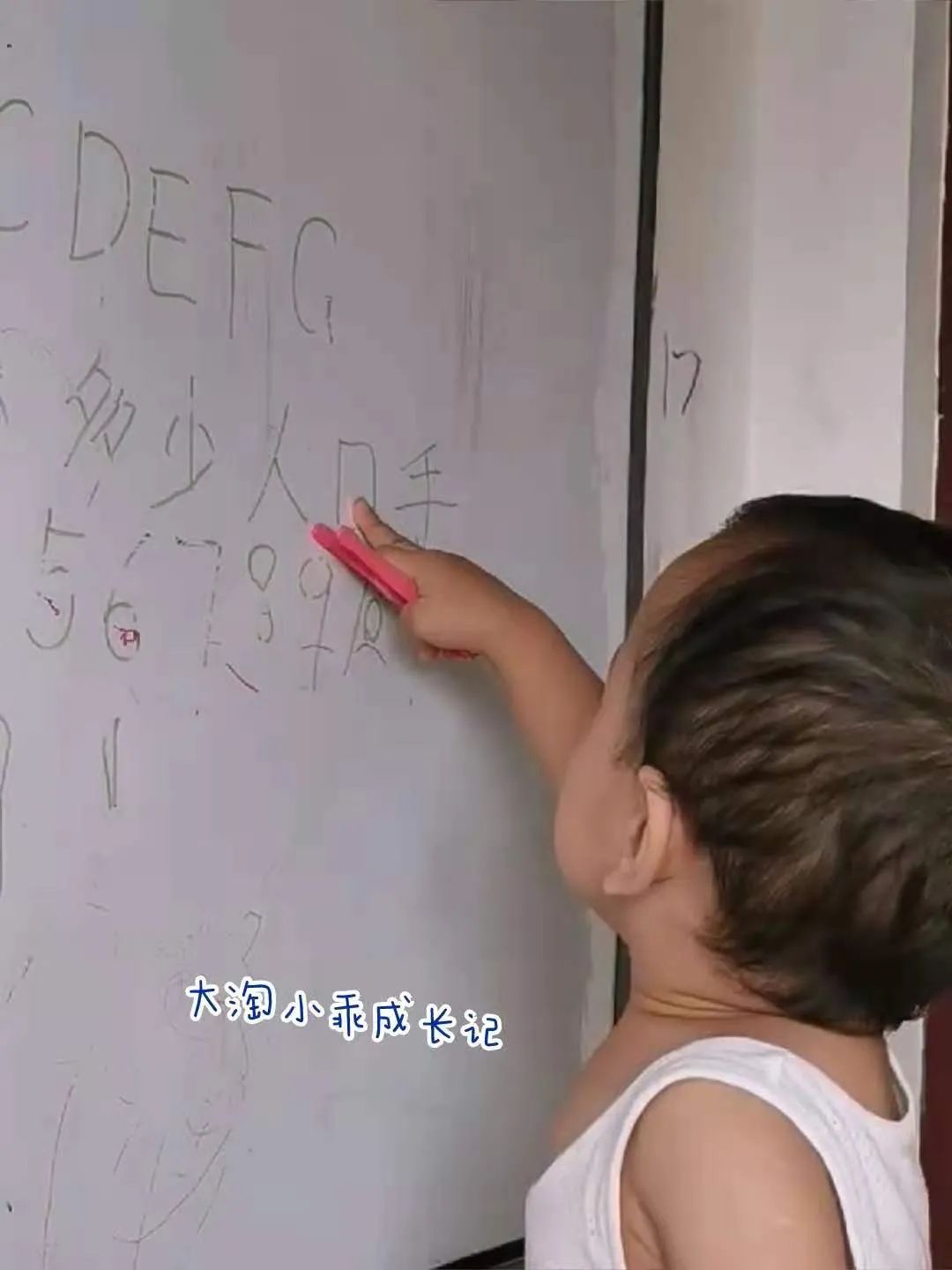 海淀妈妈认字软件,海淀妈妈常用语文阅读app