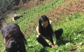 我真的很好奇原版,我真的很好奇男生版