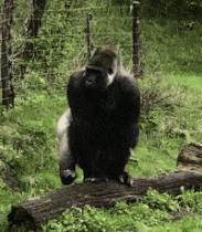 今天过来按脚，恰巧碰见了前女友，我该怎么化解尴尬呢？