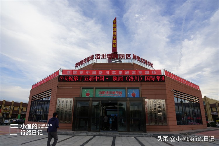 正宗陕西洛川红富士苹果水果,正宗陕西洛川苹果大果