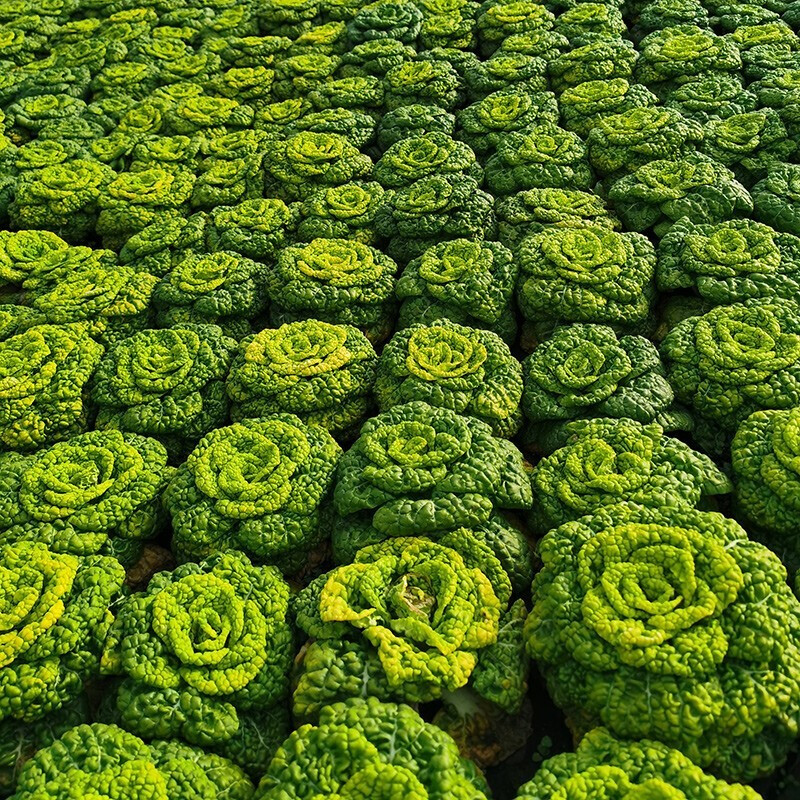 安徽五河特产排行榜前十名,安徽五河特产店