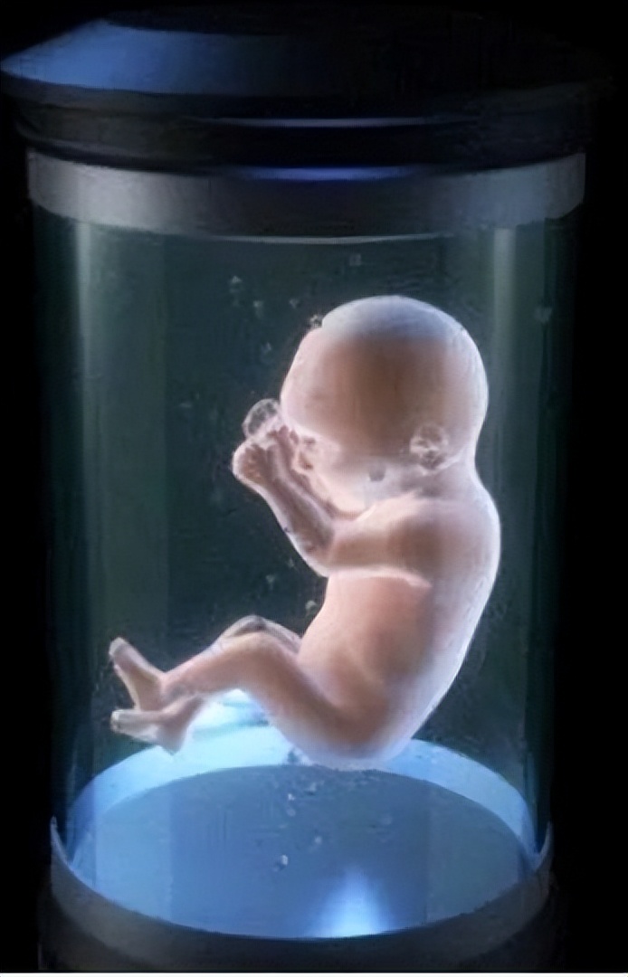 人类文明进化方向,人类进化的终极方向