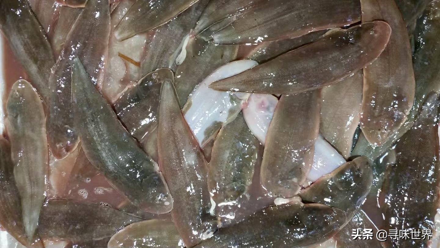 常见海鱼的品种大全及名字,海鱼的品种大全介绍